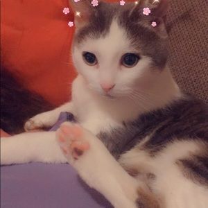 Meet your Posher, Tyler